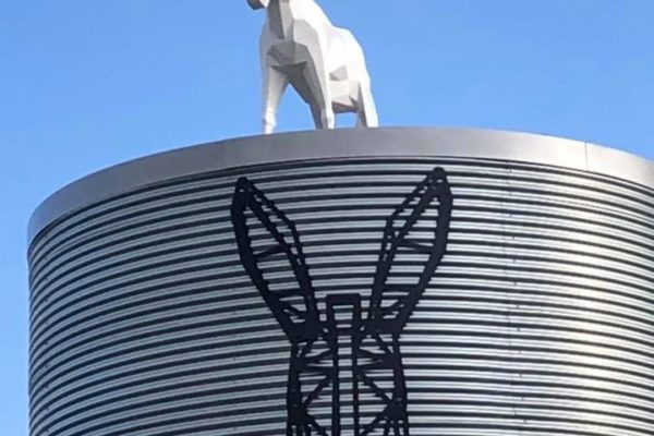 L’âne sur le silo