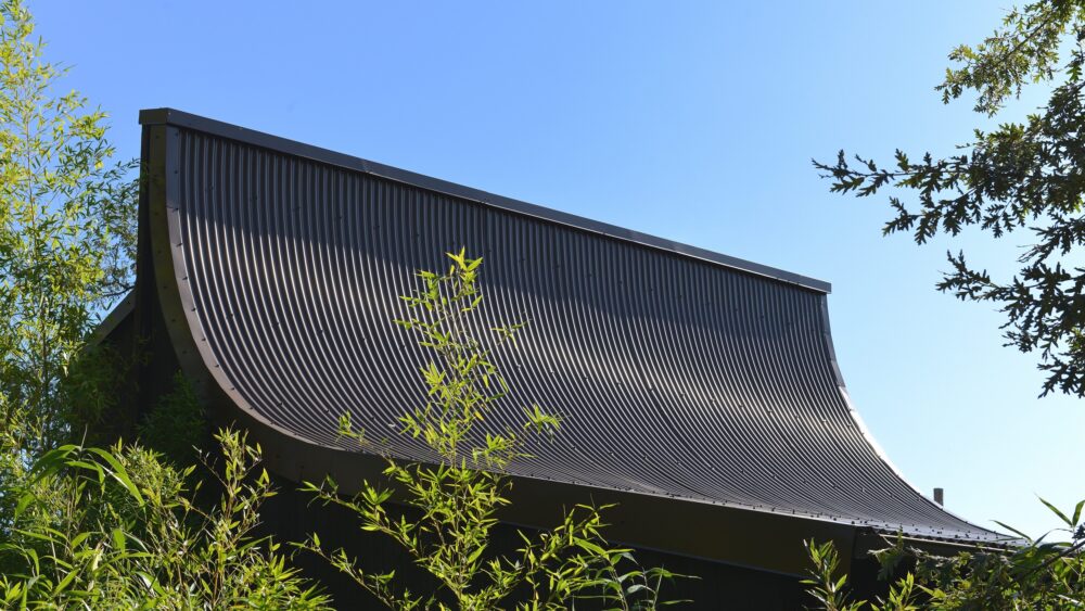 es-cintrées-Petrus-zoo-de-la-flèche