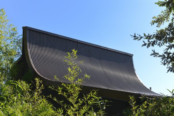 es-cintrées-Petrus-zoo-de-la-flèche